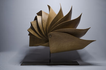 nautilus - a Sculpture & Installation Artowrk by wose